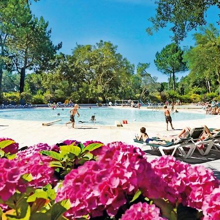 דירות L'Appart Vue Golf Piscines Nature Ocean A Moliets מראה חיצוני תמונה